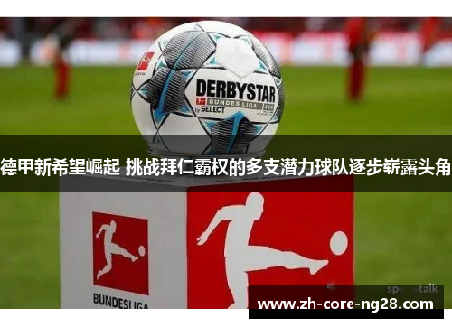 德甲新希望崛起 挑战拜仁霸权的多支潜力球队逐步崭露头角