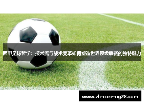 西甲足球哲学：技术流与战术变革如何塑造世界顶级联赛的独特魅力