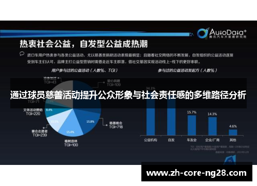 通过球员慈善活动提升公众形象与社会责任感的多维路径分析